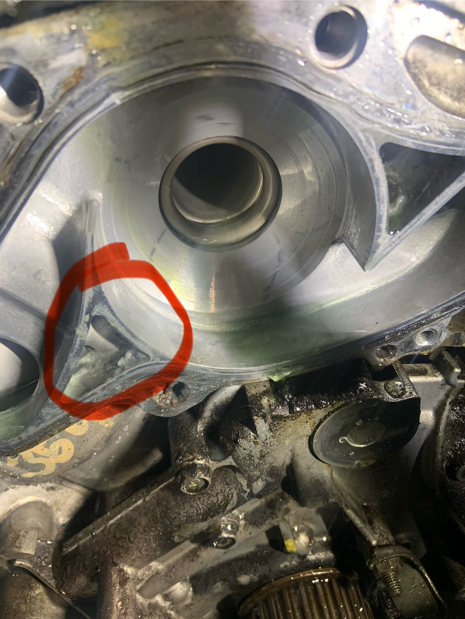 A coolant leak circled in red on the engine — one of Jay's own diagnostic photos sent to a customer